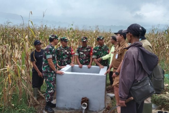 MENINJAU POMPANISASI PADA LAHAN PERTANIAN