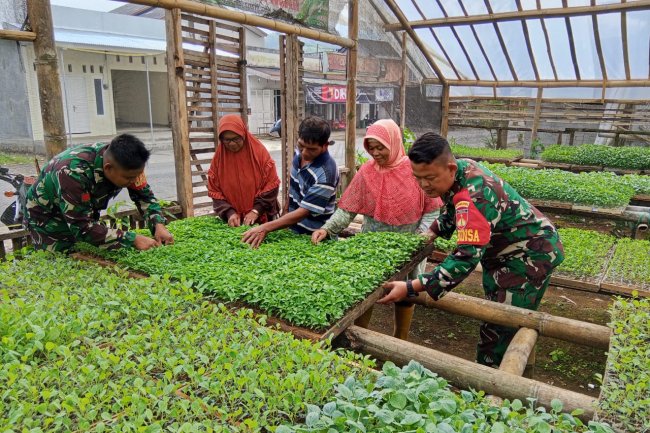 GUNA MEMBERIKAN PENDAMPINGAN DAN MOTIVASI KEPADA PETANI,BABINSA KOMSOS DI LOKASI PEMBIBITAN TANAMAN