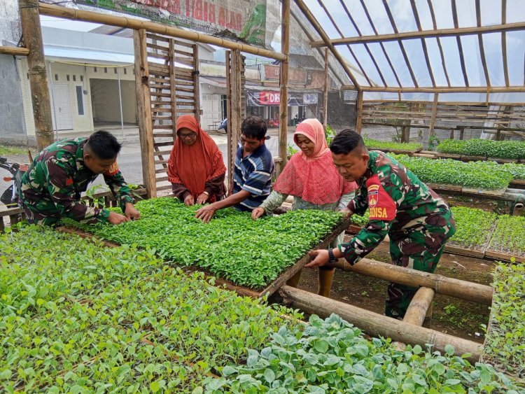 GUNA MEMBERIKAN PENDAMPINGAN DAN MOTIVASI KEPADA PETANI,BABINSA KOMSOS DI LOKASI PEMBIBITAN TANAMAN